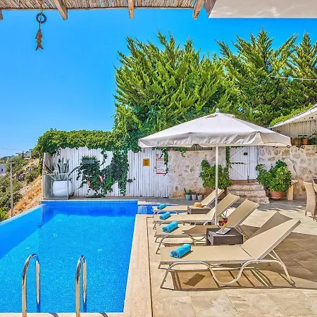 فيلة 3 Bedroom - 1003