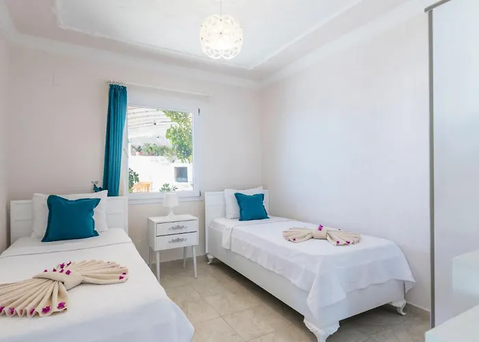 Villa 3 Bedroom - 1003 *