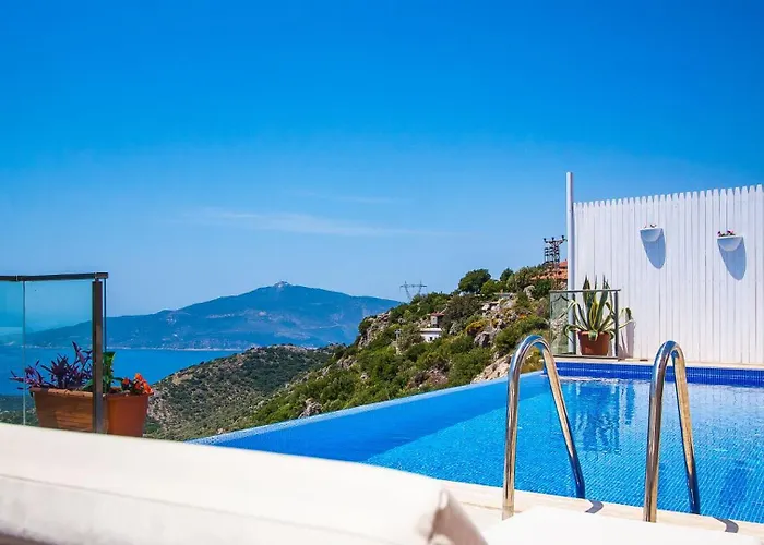 Villa 3 Bedroom - 1003