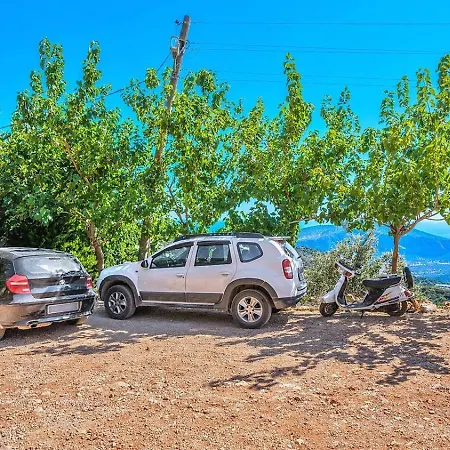 3 Bedroom - 1003